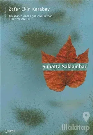 Şubatta Saklambaç