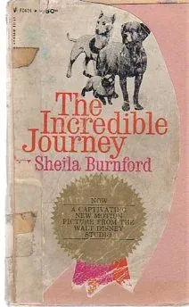 The Incredible Journey