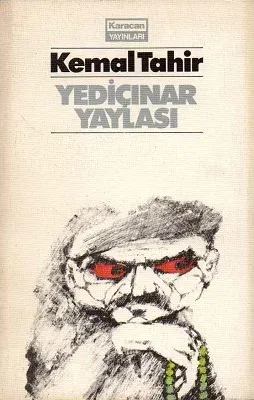 Yediçınar Yaylası 1981 Baskı