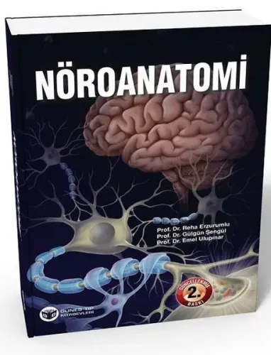 Nöroanatomi