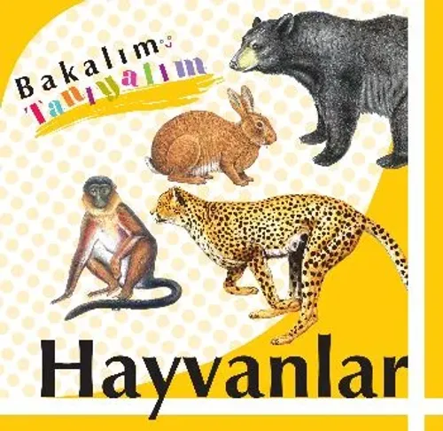 Bakalım Tanıyalım: Hayvanlar (Ciltli)
