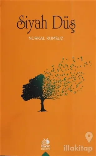 Siyah Düş