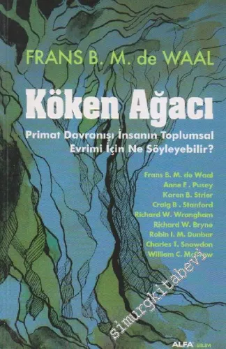 Köken Ağacı: Primat Davranışı İnsanın Toplumsal Evrimi İçin Ne Söyleyebilir? -