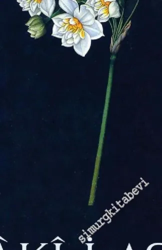Saki-i Aşk (Divan) -         2016
