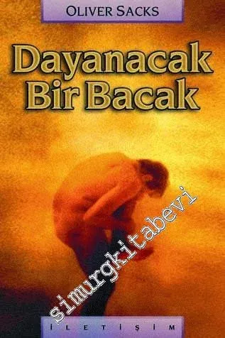 Dayanacak Bir Bacak -        2001