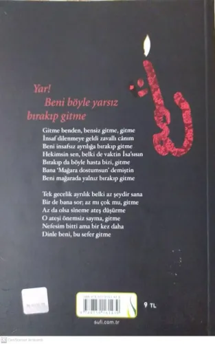 Aşk Şehri Divan-ı Kebir'den Seçmeler Mevlana Sufi