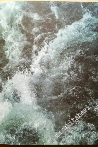 Artinternational 2013 [ Exhibition Catalog = Sergi Kataloğu ] -        2013