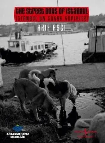 İstanbul'un Sokak Köpekleri /  The Street dogs Of Istanbul