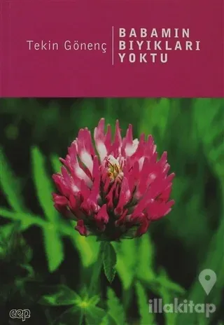 Babamın Bıyıkları Yoktu