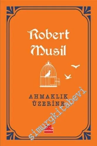 Ahmaklık Üzerine -        2017