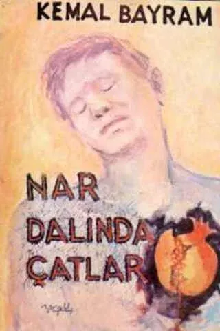 Nar Dalında Çatlar