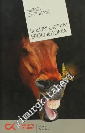 Susurluk'tan Ergenekon'a -