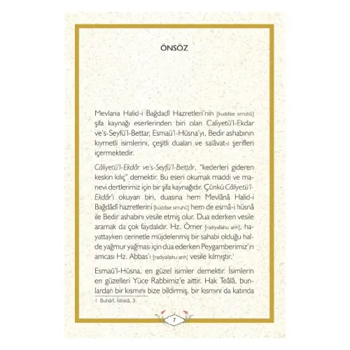 Caliyetül Ekdar | Mevlana Halid-i Bağdadi Mevlana Halidi Bağdadi