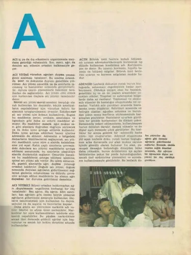 Sağlık Ansiklopedisi 1-2-3-4-5-6 Cilt Takım (CİLTLİ) Kollektif Arkın K