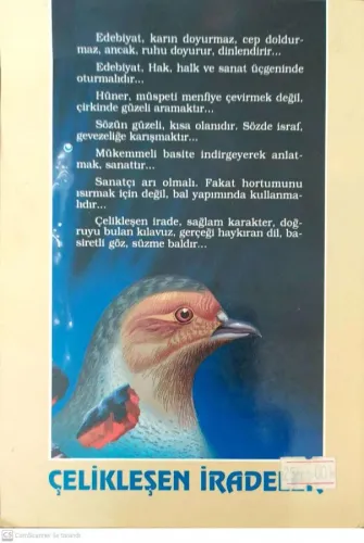 Çelikleşen İradeler Sabri Akbel Tuba