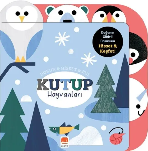 Kutup Hayvanları ;Dokun & Hisset & Bul