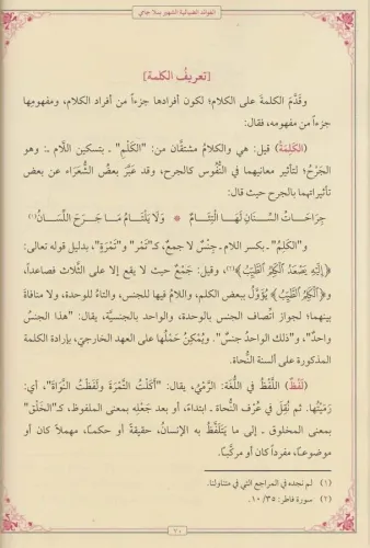 MOLLA CAMİ El Fevaidüd Diyaiyye الفوائد الضيائية Mevlana Abdurrahman C