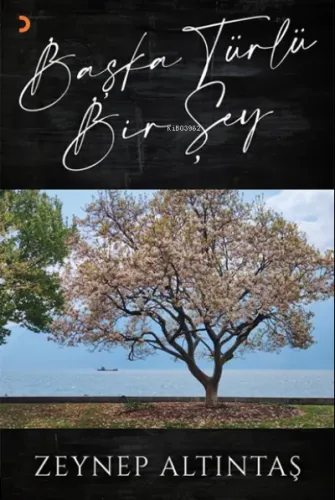 Başka Türlü Bir Şey
