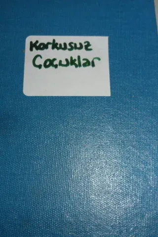 Korkusuz Çoçuklar