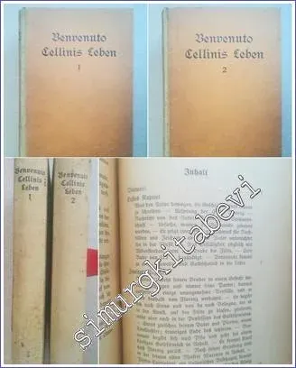Das Leben von Benvenuto Cellini : Von ihm selbst geschrieben -