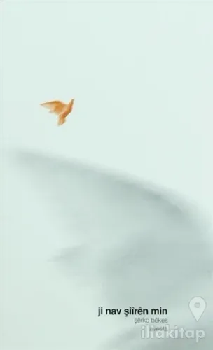 Ji Nav Şiiren Min