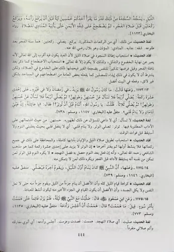 Nüzhetul Muttakin Şerhu Riyadus Salihin - نزهة المتقين شرح رياض الصالح