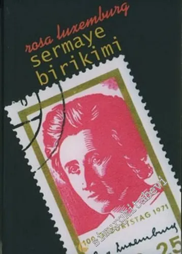 Sermaye Birikimi -        2004