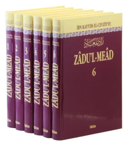 Zadul Mead 6 Cilt Takım