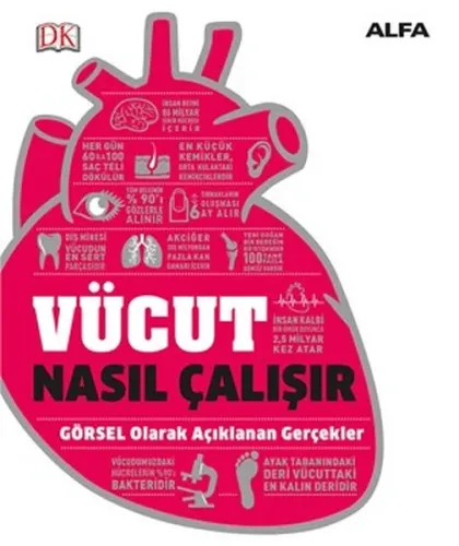 Vücut Nasıl Çalışır