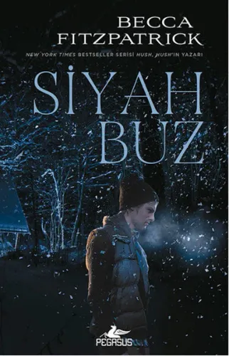 Siyah Buz (Ciltli)