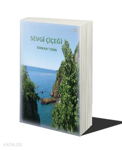 Sevgi Çiçeği