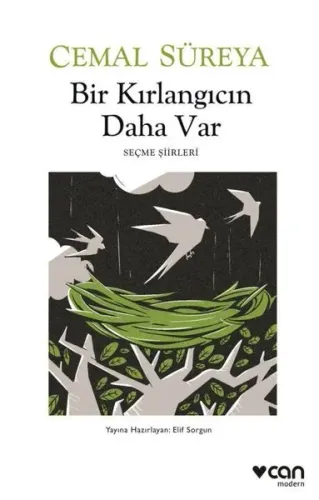 Bir Kırlangıcın Daha Var - Seçme Şiirleri