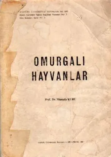 Omurgalı Hayvanlar