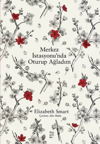 Merkez İstasyonu'nda Oturup Ağladım