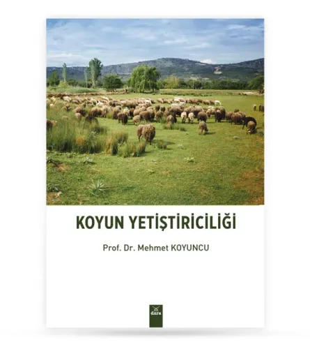Koyun Yetiştiriciliği