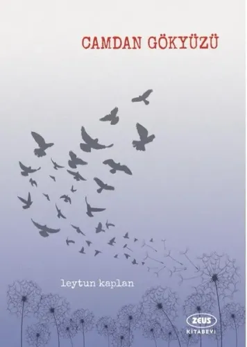 Camdan Gökyüzü