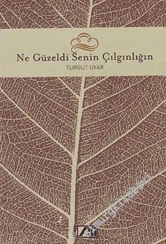 Ne Güzeldi Senin Çılgınlığın -        2003