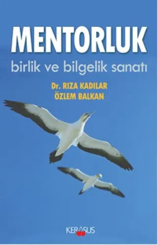 Mentorluk