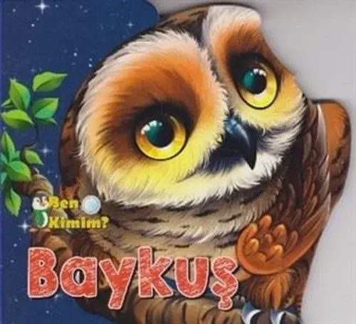 Ben Kimim? - Baykuş