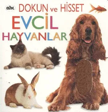 Dokun ve Hisset: Evcil Hayvanlar