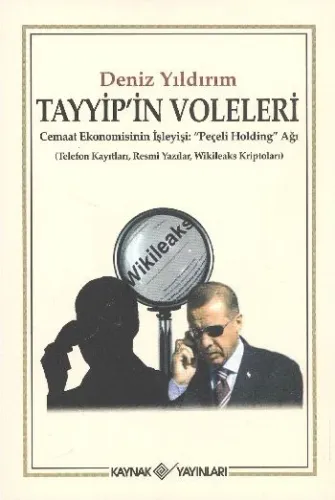 Tayyip'in Voleleri