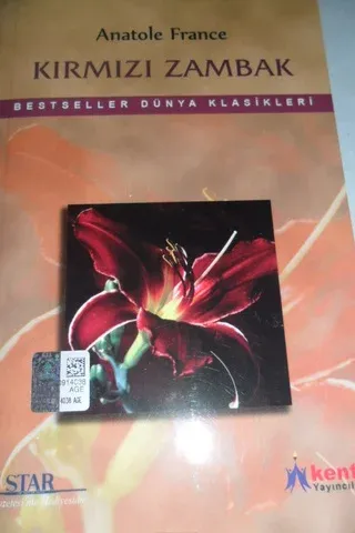 Kırmızı Zambak