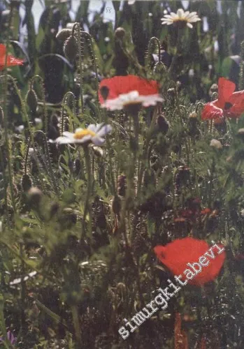 İlgi Dergisi: Kültür Sanat Mimarlık - Yıl: 23; Sayı: 58; Yaz 1989