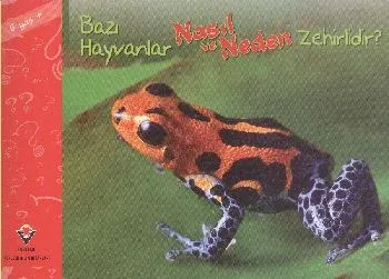 Bazı Hayvanlar Nasıl ve Neden Zehirlidir 6 Yaş
