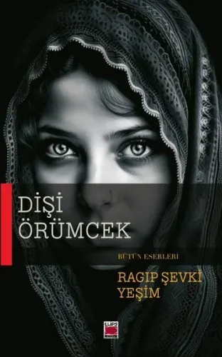 Dişi Örümcek