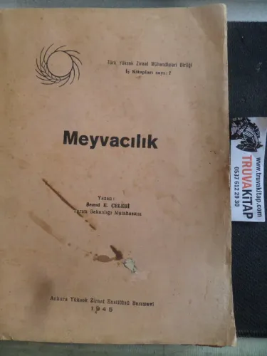 Meyvacılık