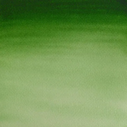 Winsor & Newton Cotman Sulu Boya Yarım Tablet Hooker's Green Light 314