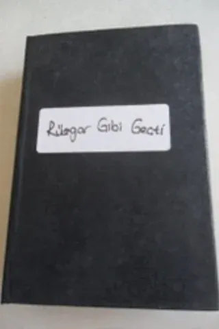 Rüzgar Gibi Geçti
