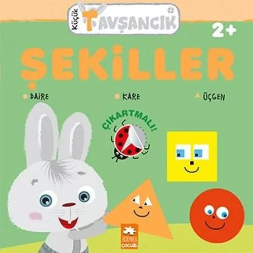 Şekiller