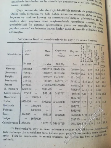 Çayır ve Mera - 1946
